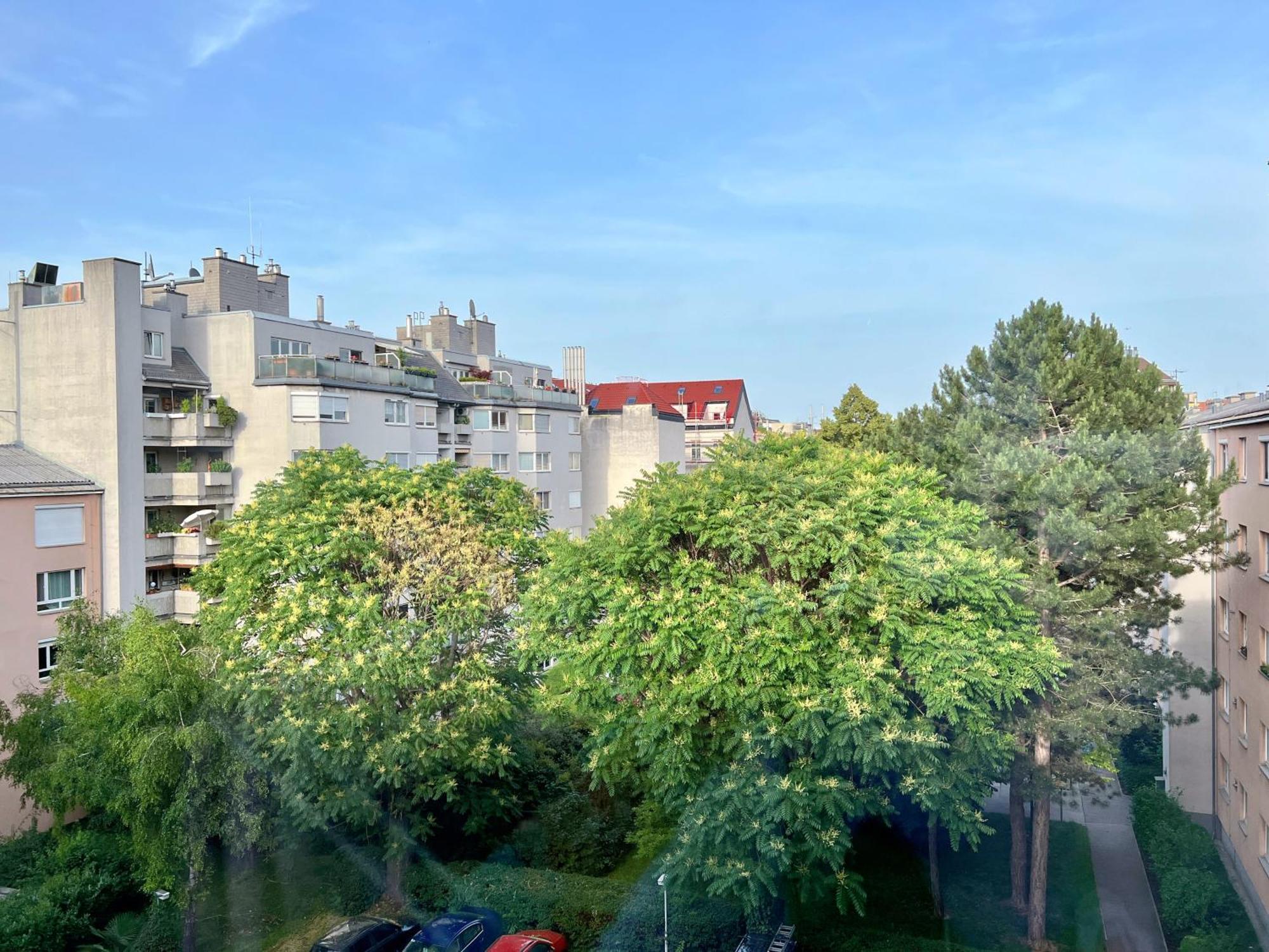 Wilson Paradise Баден Экстерьер фото
